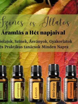 Hét Napjai Tanfolyam