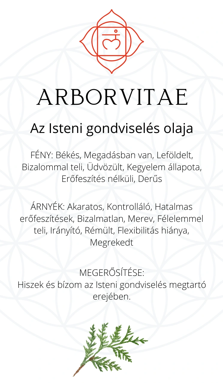 card-13