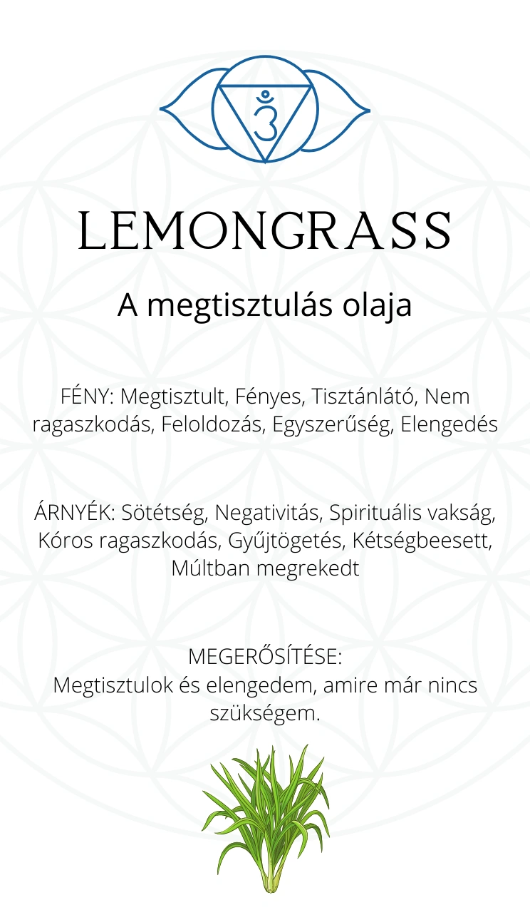 card-17
